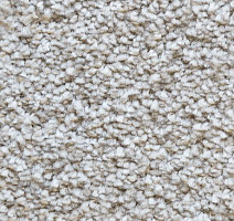 Ковролин AW Masquerade Certosa 49 фото 1 | FLOORDEALER